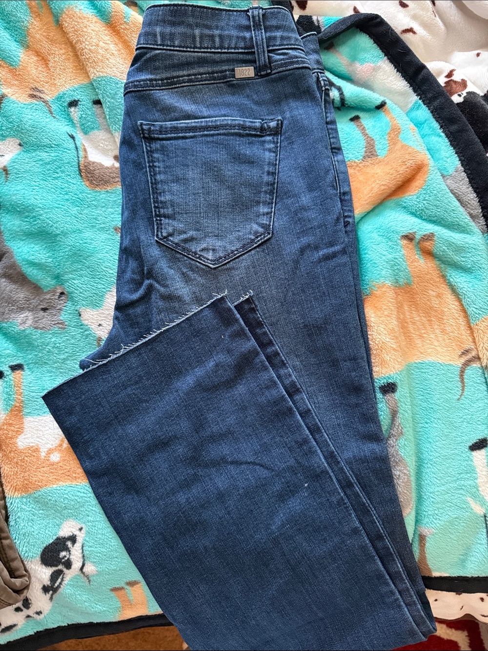 1822 Denim Wash Blue Jeans - Classic Stitch Detail